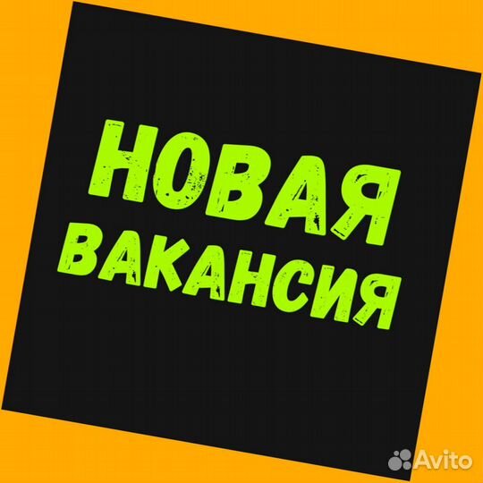 Сборщик Выплаты еженедельно Без опыта М/Ж