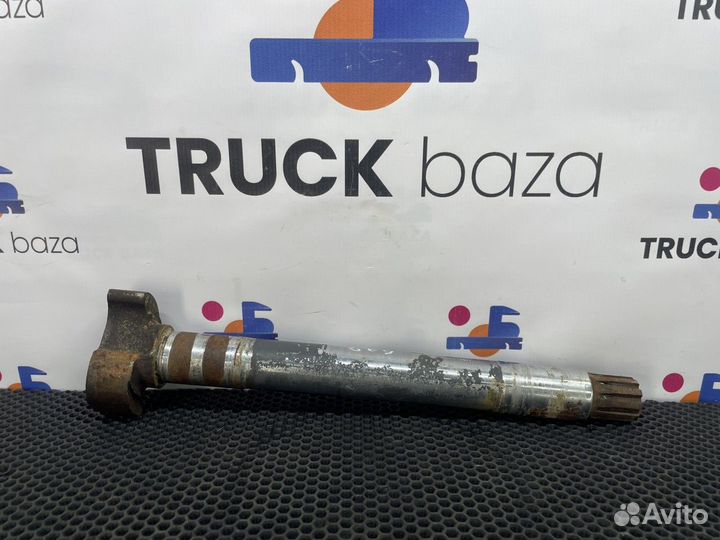 2025393 Вал тормозной задний левый