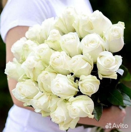 Длинные высокие розы 110 150 160 180 200 см