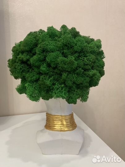 Бюст кашпо голова из гипса Африканка