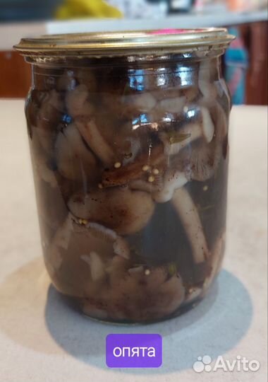 Грибы и домашние соленья