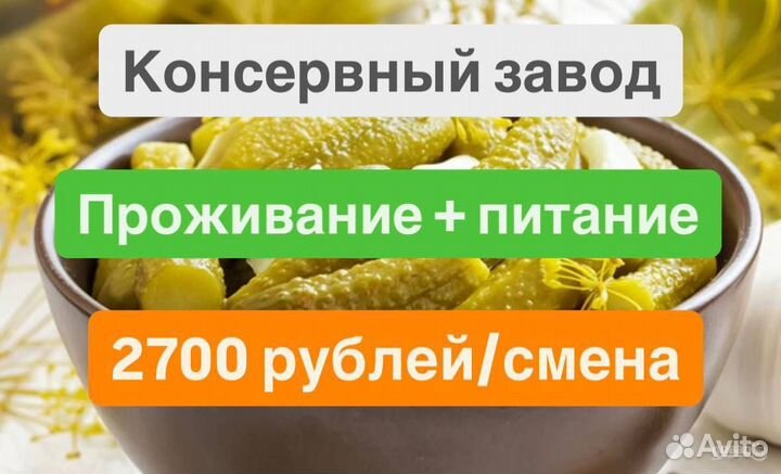 Сортировщик/Консервный завод/Проживание