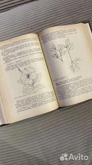 С. Г. Сааков Оранжерейные и комнатные растения