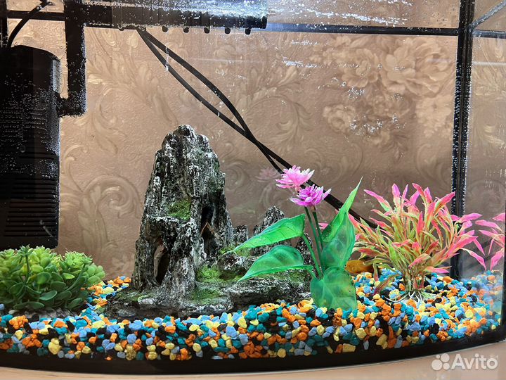 Аквариум
