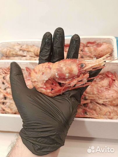 Креветка гребенчатая ботан 500гр