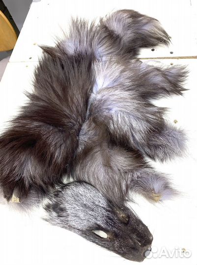Мех песца хвостики