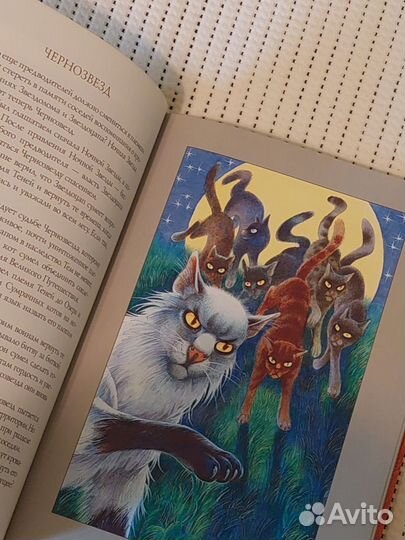 Книги Коты-воители