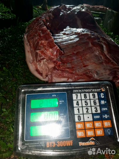 Мясо свинина домашняя