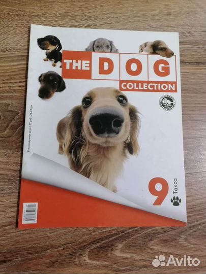 Книги про собак