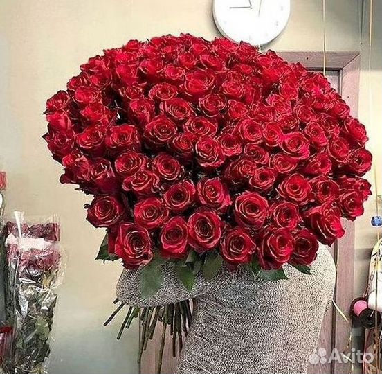 Розы Высокие 150см 160см 170см 180см 190см 2м