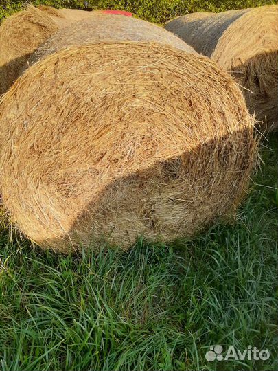 Сено луговое в рулонах