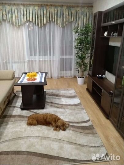 Ламбрекен 3,50