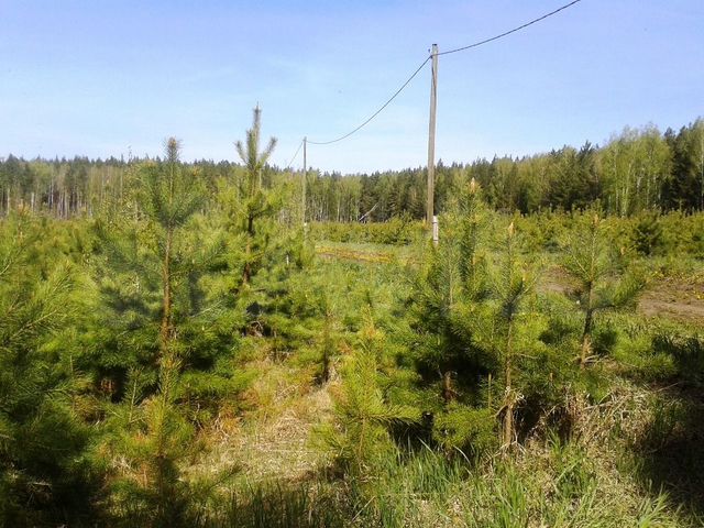 Участок 20 сот. (СНТ, ДНП)