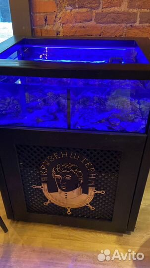 Аквариумы для устриц, раков, рыбы