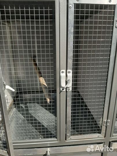 Стенка для животных