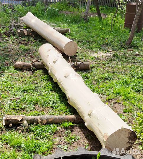 Спилить дерево