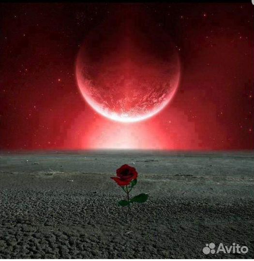 Выполню Ваше поручение. Собеседник и Психолог