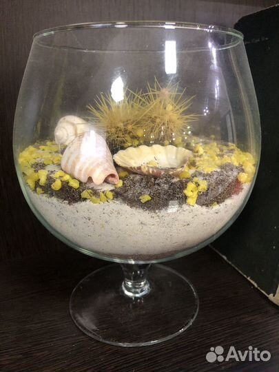 Флорариум с кактусами