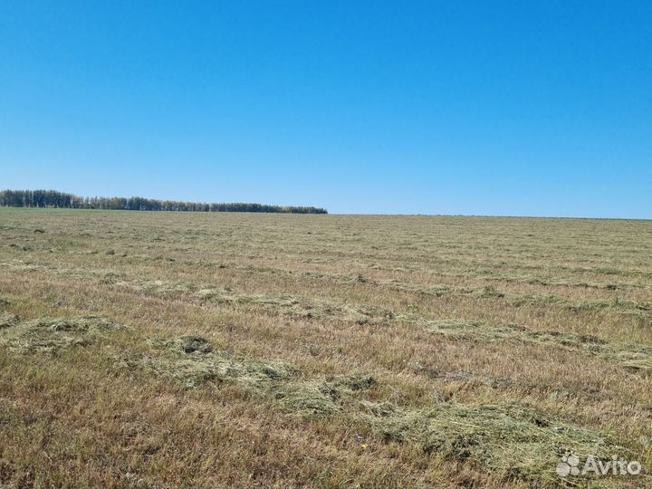 Сено в рулонах 2023