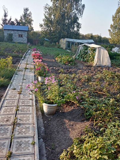 Дача 45 м² на участке 6 сот.