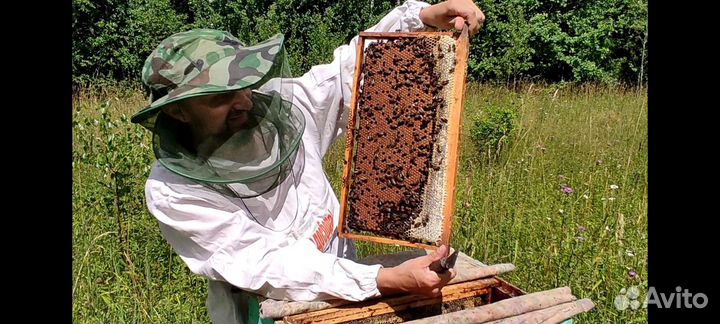 Консультация пчеловода