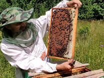 Стол для пчеловода своими руками
