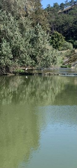 Участок 6 сот. (ИЖС)