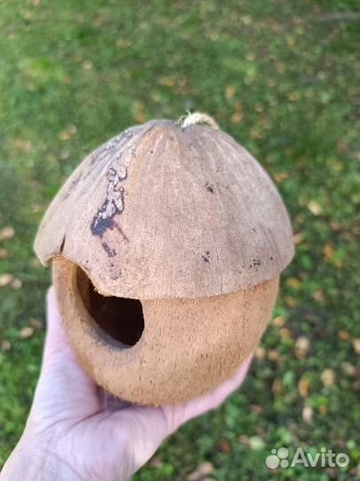 Гнездо домик для птиц из кокоса