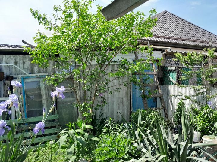 Дом 47,7 м² на участке 7 сот.