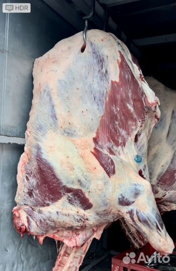 Мясо говядина оптом
