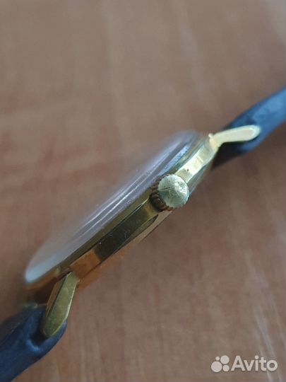 Луч 1000 лет Витебску