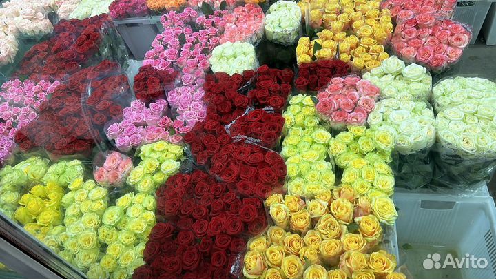 Цветы букеты 101 роза