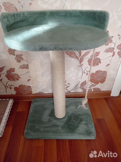 Когтеточка