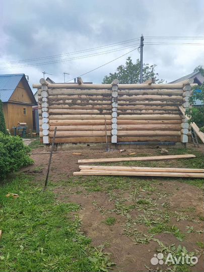 Срубы липовые