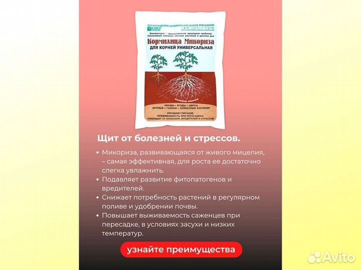 Кормилица Микориза