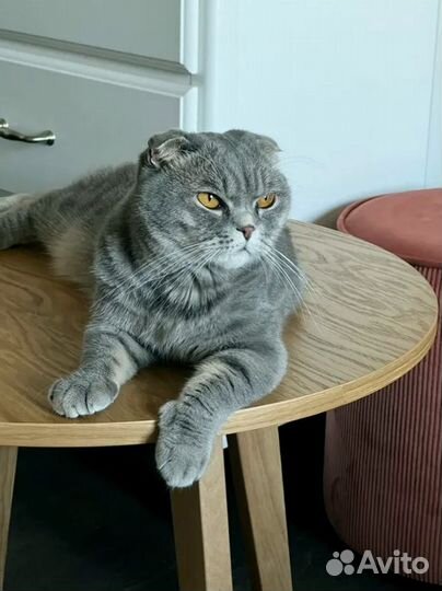 Придиванный столик