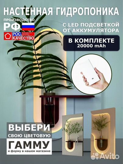 Настенный декор. Гидропоника