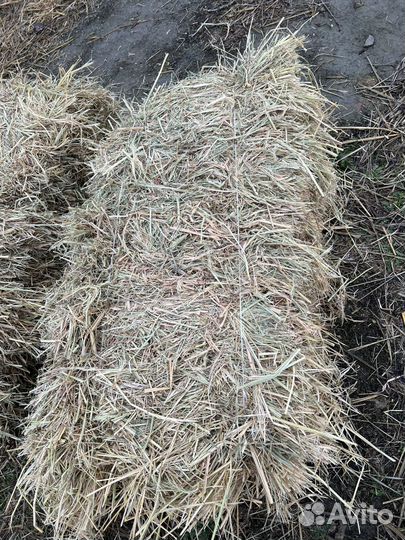 Сено в тюках