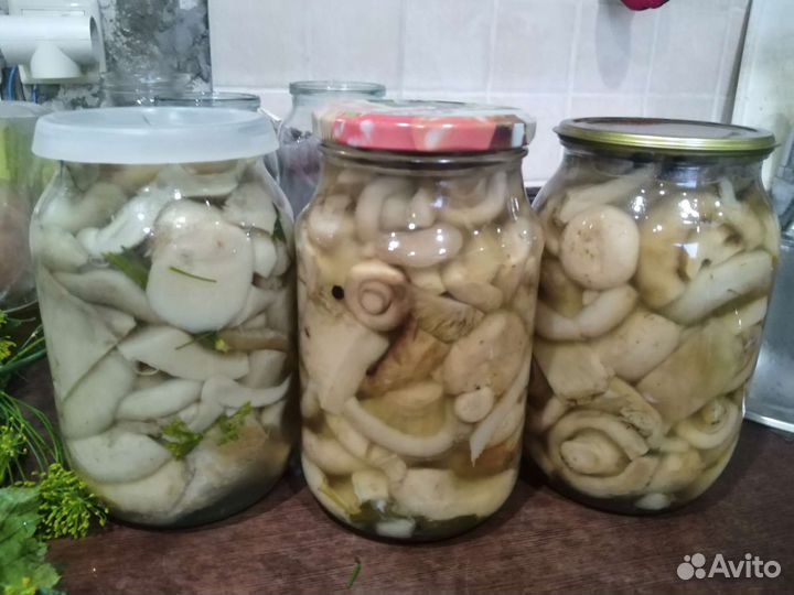 Грибы маринованные, слоёные