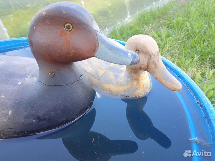 Чучела уток для охоты