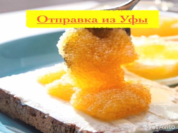 Икра щуки оптом