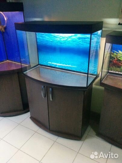 Аквариум 200 полукруг, свет, фон, биофильтр, тумба