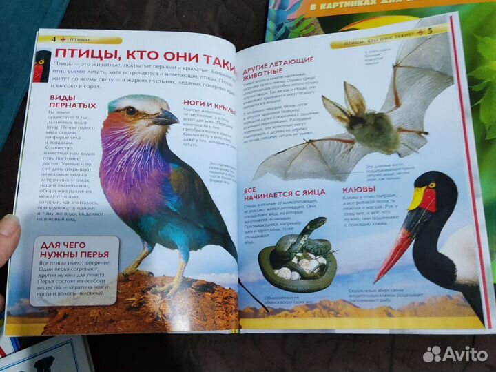 Детские книжки