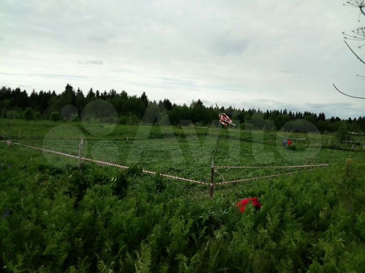 Участок 12 сот. (СНТ, ДНП)