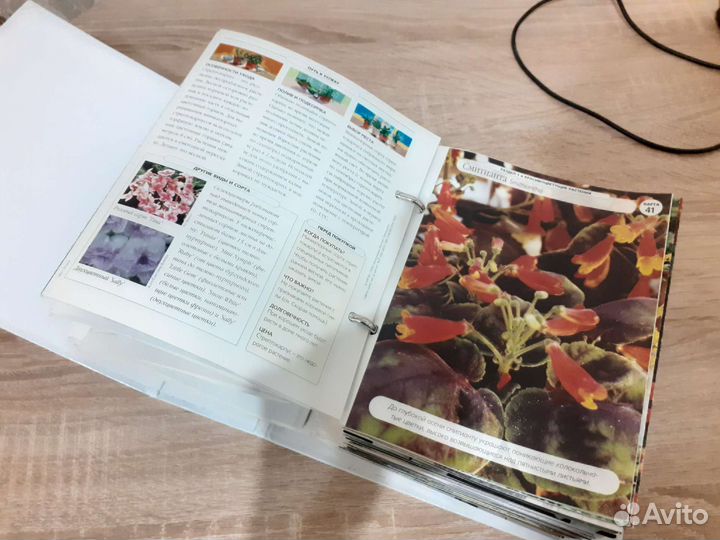 Каталог комнатных растений