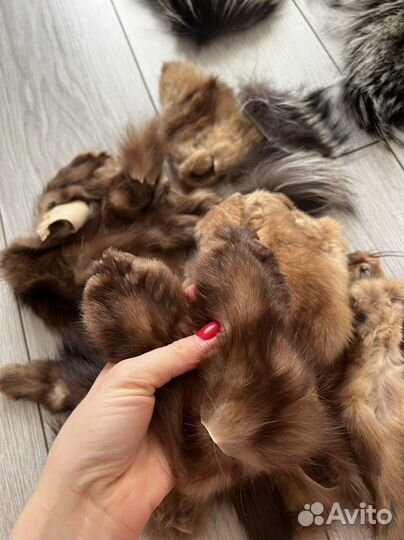 Мех Обрезки соболя и песца и норка