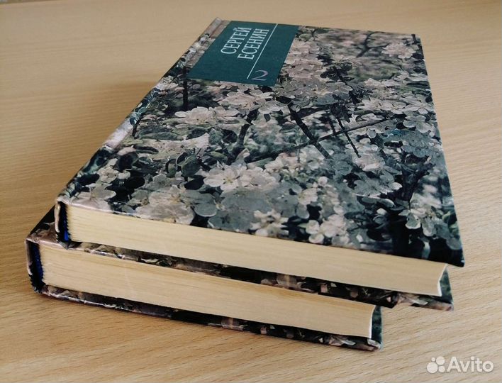 Сергей Есенин двухтомник редкое издание