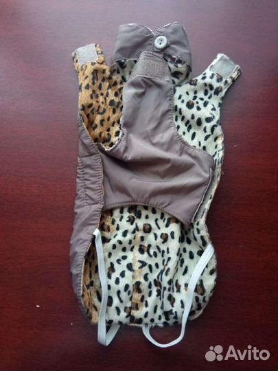 Одежда для животных