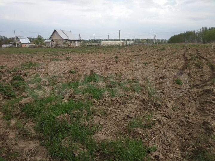 Участок 18 сот. (СНТ, ДНП)