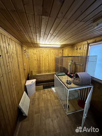 Передержка зоогостиница кошек и собак, доставка